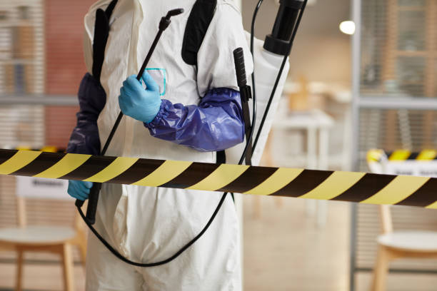 Professional Sewage Cleanup technician working in Buckingham, PA